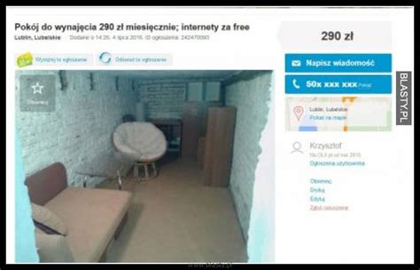 olx red fox|Ogłoszenia .